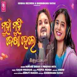 Munha Munhi Dekha Hele